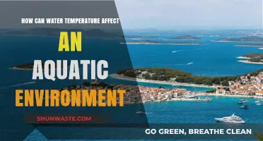 Water Temperature's Impact on Aquatic Ecosystems: A Comprehensive Overview
