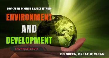 Sustainable Progress: Balancing Environmental Preservation and Economic Development