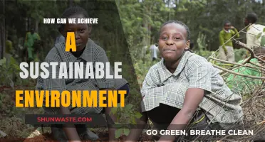 Creating a Greener Future: Strategies for Achieving a Sustainable Environment
