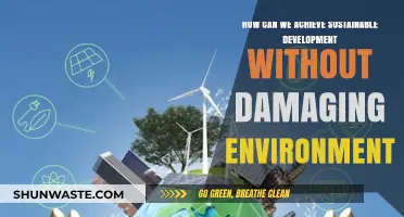 Balancing Progress and Preservation: Achieving Sustainable Development Without Environmental Harm