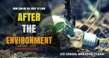 Sustainable Living: Simple Steps to Protect Our Planet Together