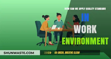 Implementing Quality Standards: Enhancing Work Environment Efficiency and Productivity