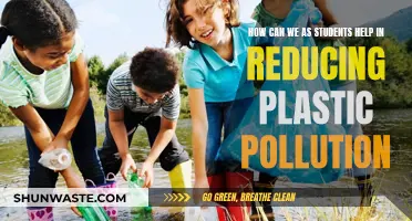 Students' Role in Reducing Plastic Pollution