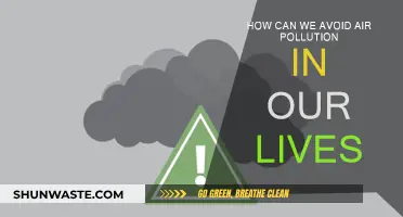 Avoiding Air Pollution: Simple Steps for a Healthy Life