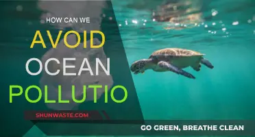 Protecting Our Oceans: Preventing Pollution and Preserving Marine Life