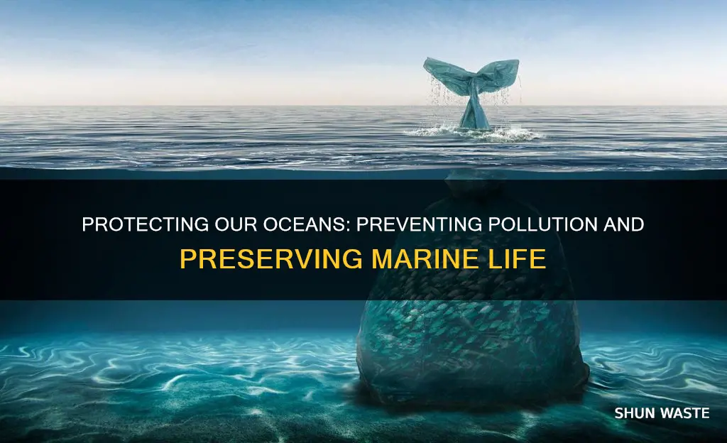 how can we avoid ocean pollution