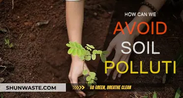 Protecting Our Earth: Preventing Soil Pollution