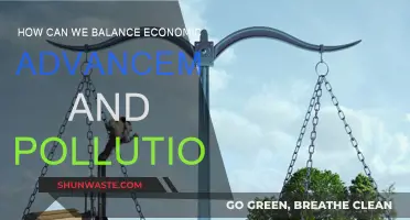 Economic Growth and Environmental Protection: Finding the Balance