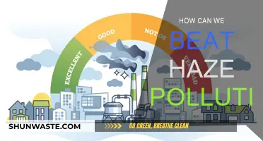 Fight Haze Pollution: Strategies for a Brighter Future