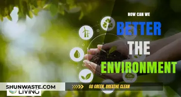 Sustainable Steps: Practical Ways to Protect and Improve Our Environment