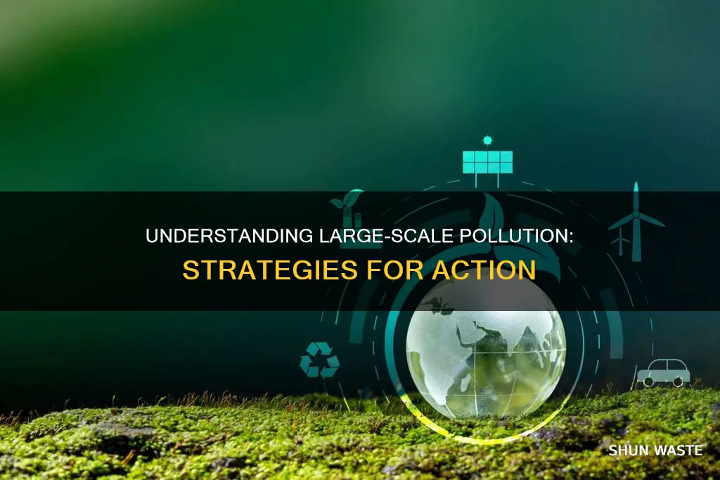 how can we better understand large scale pollution problems