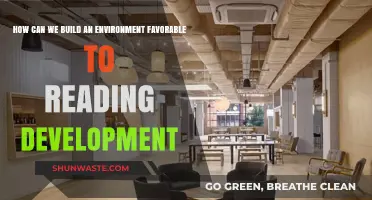 Creating Spaces That Foster a Lifelong Love for Reading