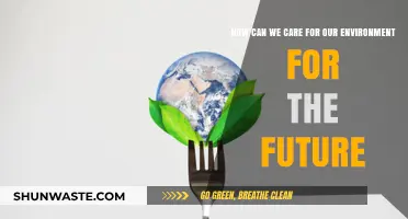 Sustainable Steps: Nurturing Our Environment for a Greener Tomorrow
