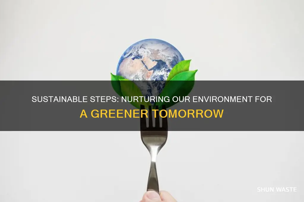 how can we care for our environment for the future