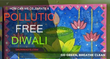 Green Diwali: Clean, Safe, and Eco-Friendly Ways to Celebrate