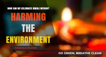 Eco-Friendly Diwali: Celebrating Light Over Pollution and Noise