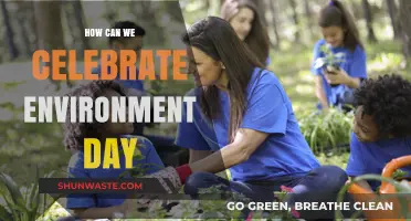Celebrate Environment Day: Creative Ways to Honor Our Planet