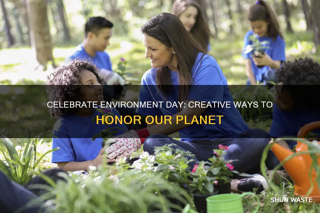 how can we celebrate environment day