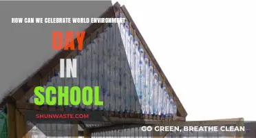 Eco-Friendly School Celebrations: Creative Ways to Honor World Environment Day