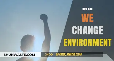 Transforming Our Planet: Practical Steps to Change the Environment