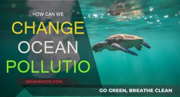 Combating Ocean Pollution: Strategies for a Sustainable Future