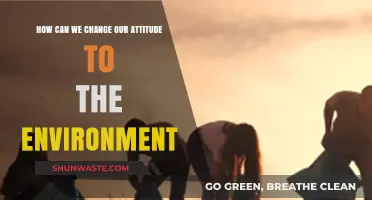 Transforming Mindsets: Embracing Sustainable Attitudes for a Greener Future