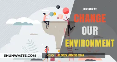 Transforming Our Surroundings: Practical Steps to Change Our Environment