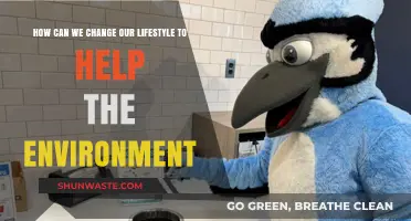 Sustainable Living: Simple Lifestyle Changes to Protect Our Planet