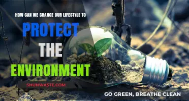Sustainable Living: Simple Steps to Protect Our Planet and Future