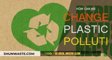 Combating Plastic Pollution: Small Changes, Big Impact