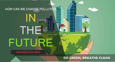 Pollution's Future: Innovations for a Cleaner World