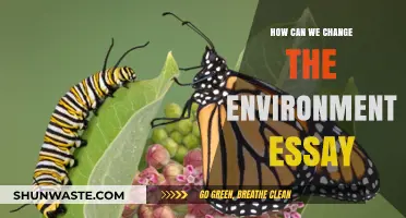 Transforming Our Planet: Practical Steps to Change the Environment