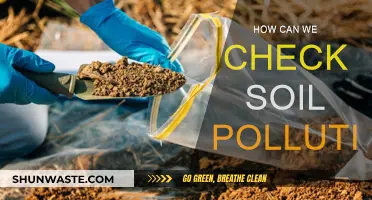 Understanding Soil Pollution: Testing Methods and Techniques