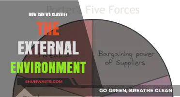 Understanding External Environment Classification: Strategies for Effective Business Analysis