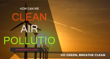 Cleaning Air Pollution: Innovative Ways to Breathe Easy