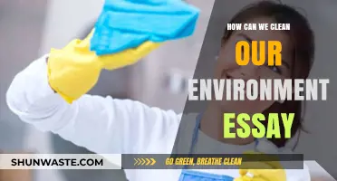 Sustainable Steps: Practical Ways to Clean and Protect Our Environment
