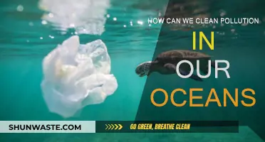 Cleaning Our Oceans: Innovative Solutions to Pollution