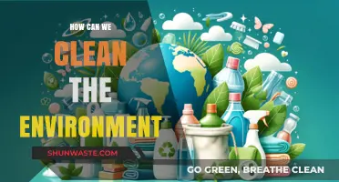 Sustainable Steps to Clean Our Environment and Protect Our Planet