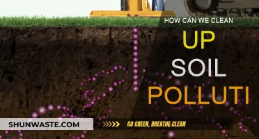 Soil Pollution: Cleaning and Restoring Our Earth's Health