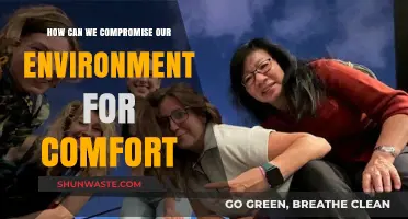 Comfort vs. Conservation: Balancing Modern Conveniences with Environmental Responsibility