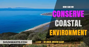 Protecting Coastal Ecosystems: Sustainable Practices for Preserving Fragile Shorelines