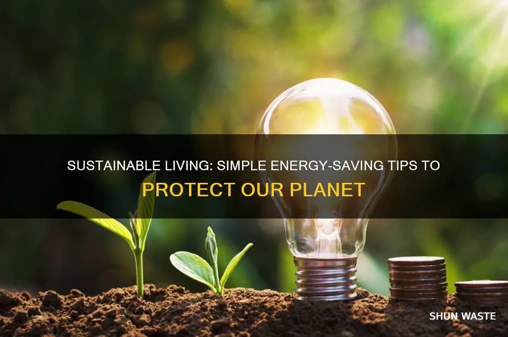 how can we conserve energy and help the environment