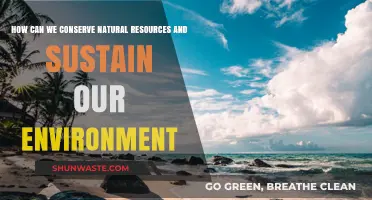 Sustainable Living: Practical Ways to Conserve Resources and Protect Our Planet