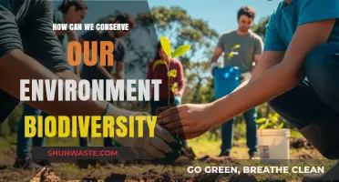 Sustainable Practices to Protect and Preserve Our Environment's Biodiversity