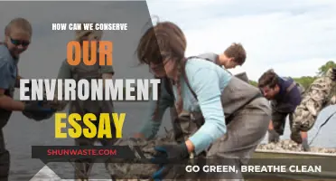 Sustainable Practices: Effective Ways to Protect and Preserve Our Environment