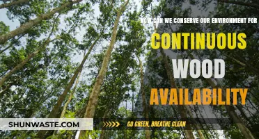 Sustainable Forestry: Preserving Our Environment for Continuous Wood Availability