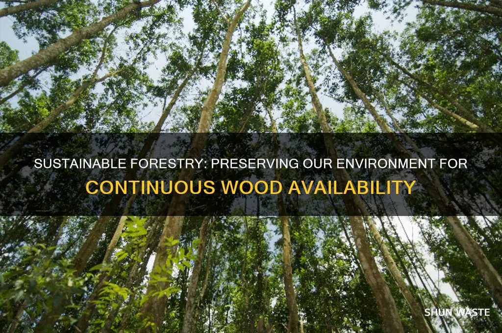 how can we conserve our environment for continuous wood availability