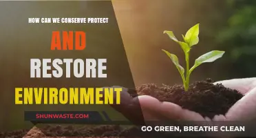 Sustainable Practices to Conserve, Protect, and Restore Our Environment