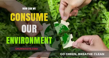 Sustainable Living: Mindful Ways to Consume Our Environment Responsibly