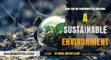 Sustainable Living: Simple Steps to Protect Our Planet and Future